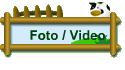 Foto / Video