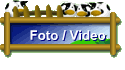 Foto / Video