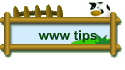 www tips